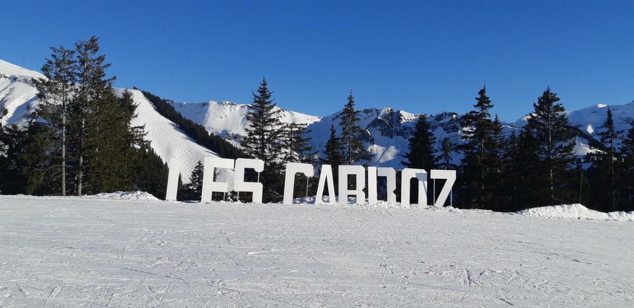 Grand Studio Les Carroz d'Araches Eksteriør billede